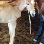 KEIRSYN - Out of SL Absolutely Annie (Owned by Cindy McCloskey)